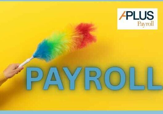 Payroll Spring Clean